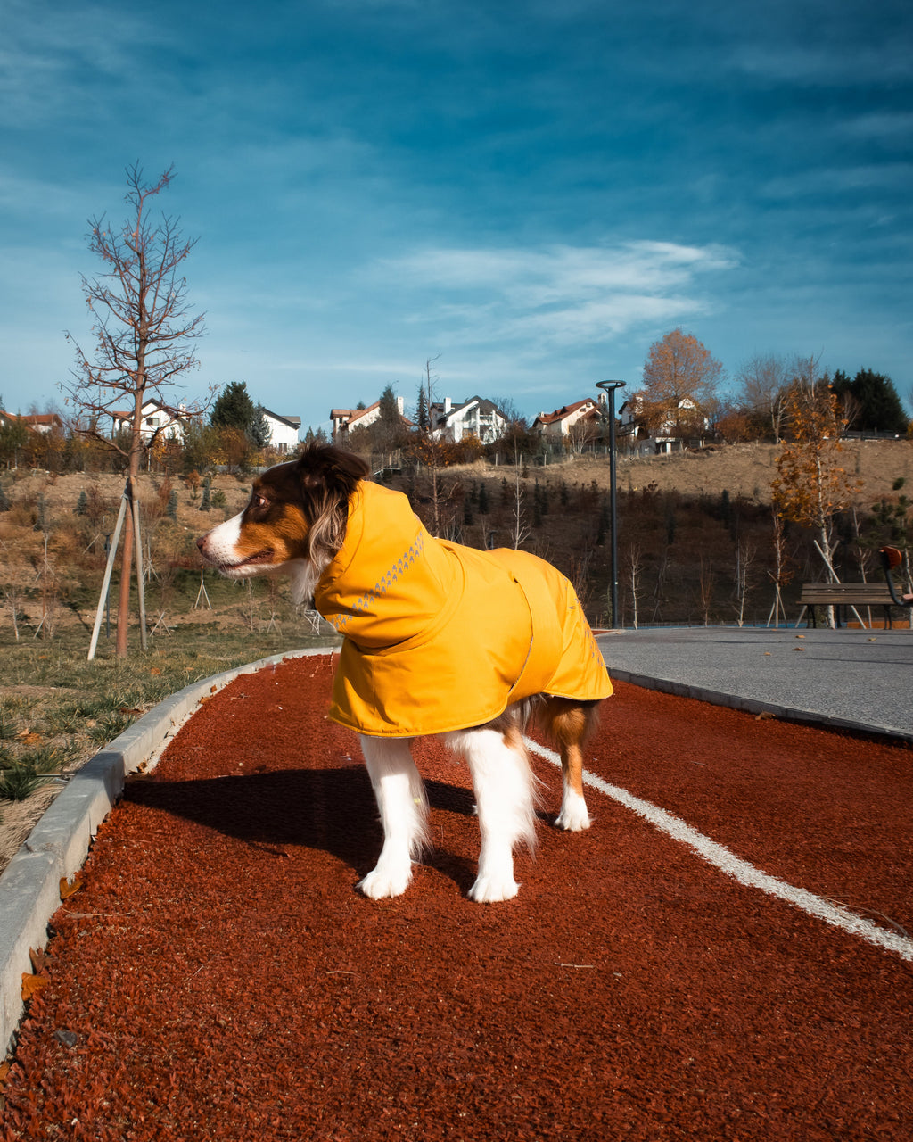 Seattle StormGuard Coat | Mustard Fog