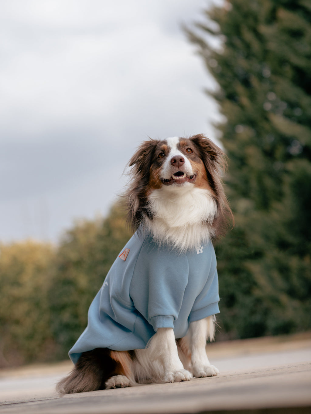 Soulmate Sweatshirt | Mist Blue