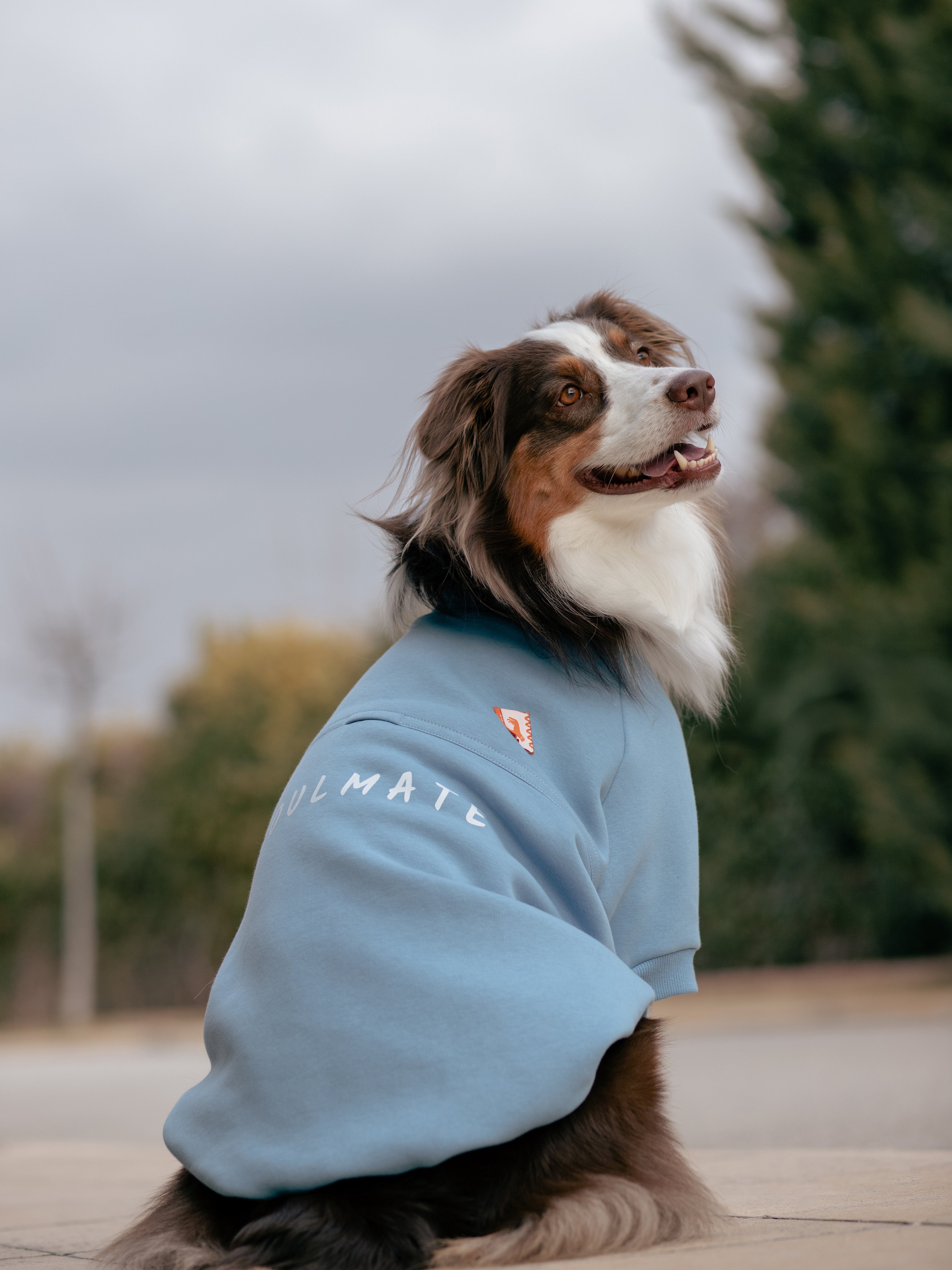 Soulmate Sweatshirt | Mist Blue