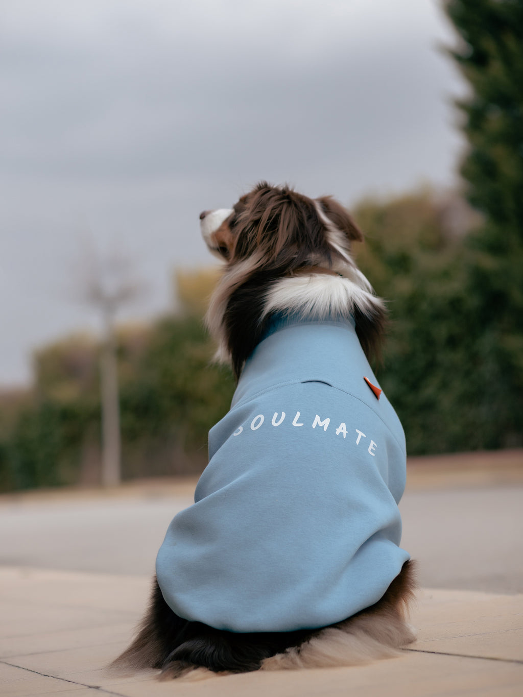 Soulmate Sweatshirt | Mist Blue