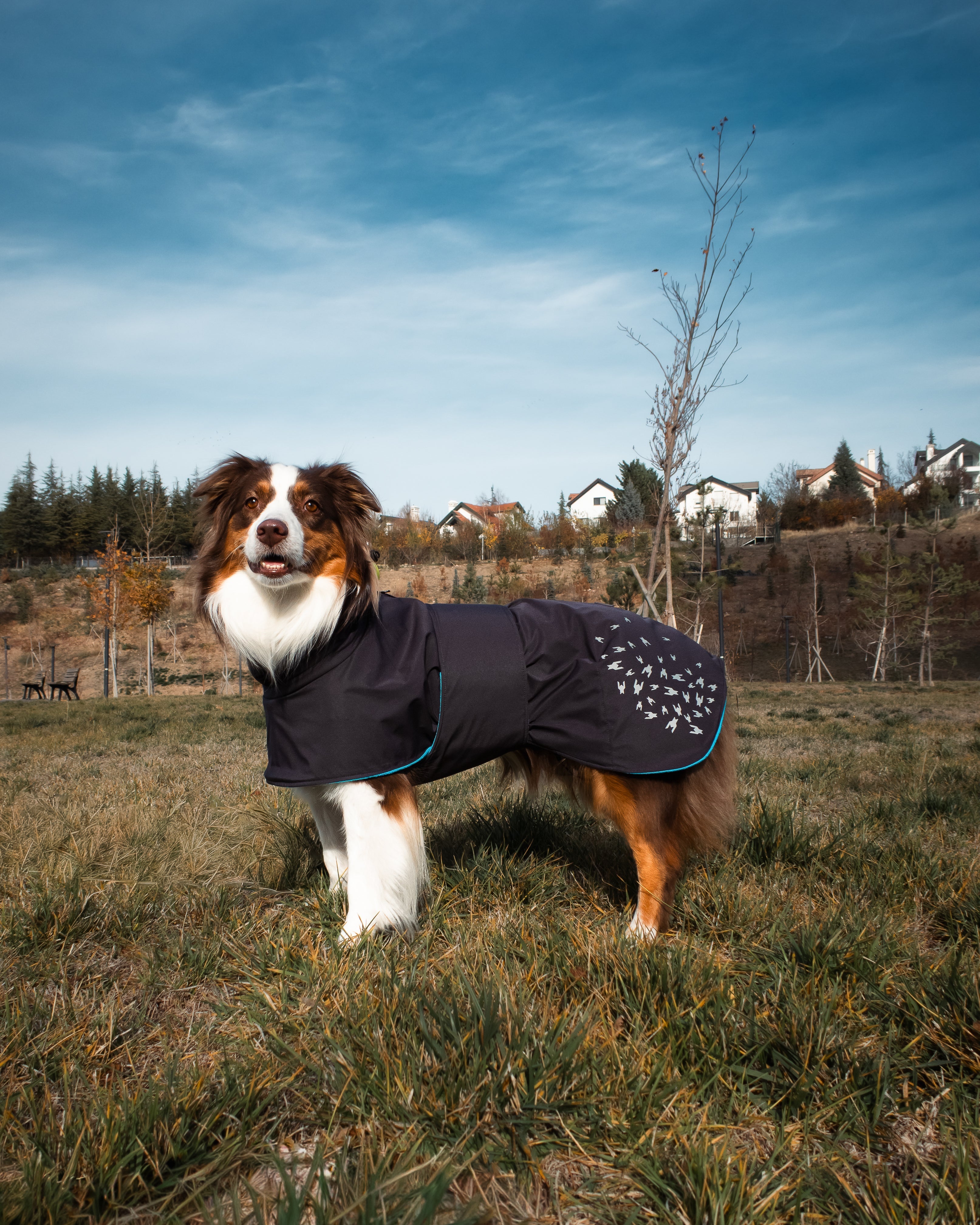 Seattle StormGuard Coat | Charcoal Ice