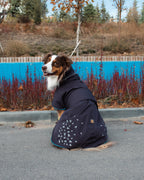Seattle StormGuard Coat | Charcoal Ice