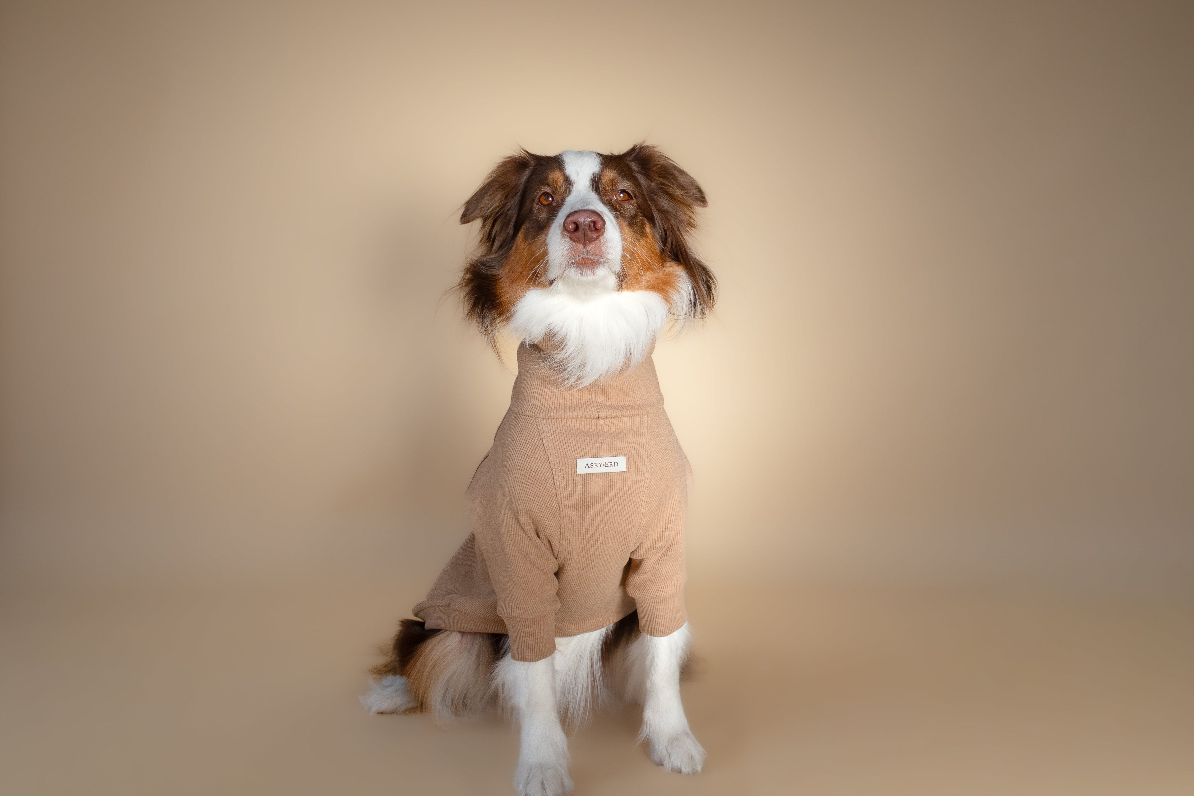 Turtleneck | Oat Milk