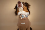 | Bow Tie | Cedar Plaid
