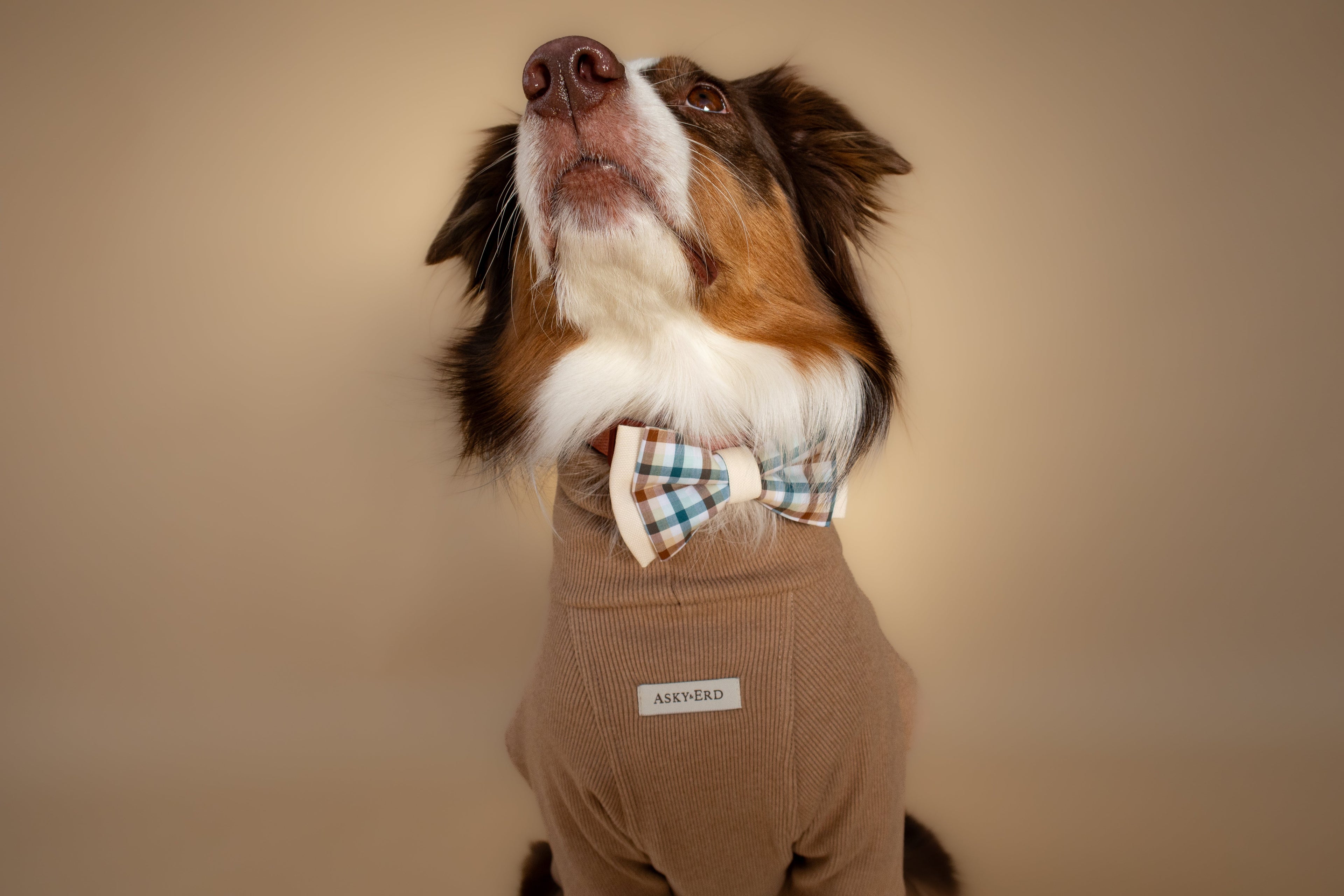 | Bow Tie | Cedar Plaid