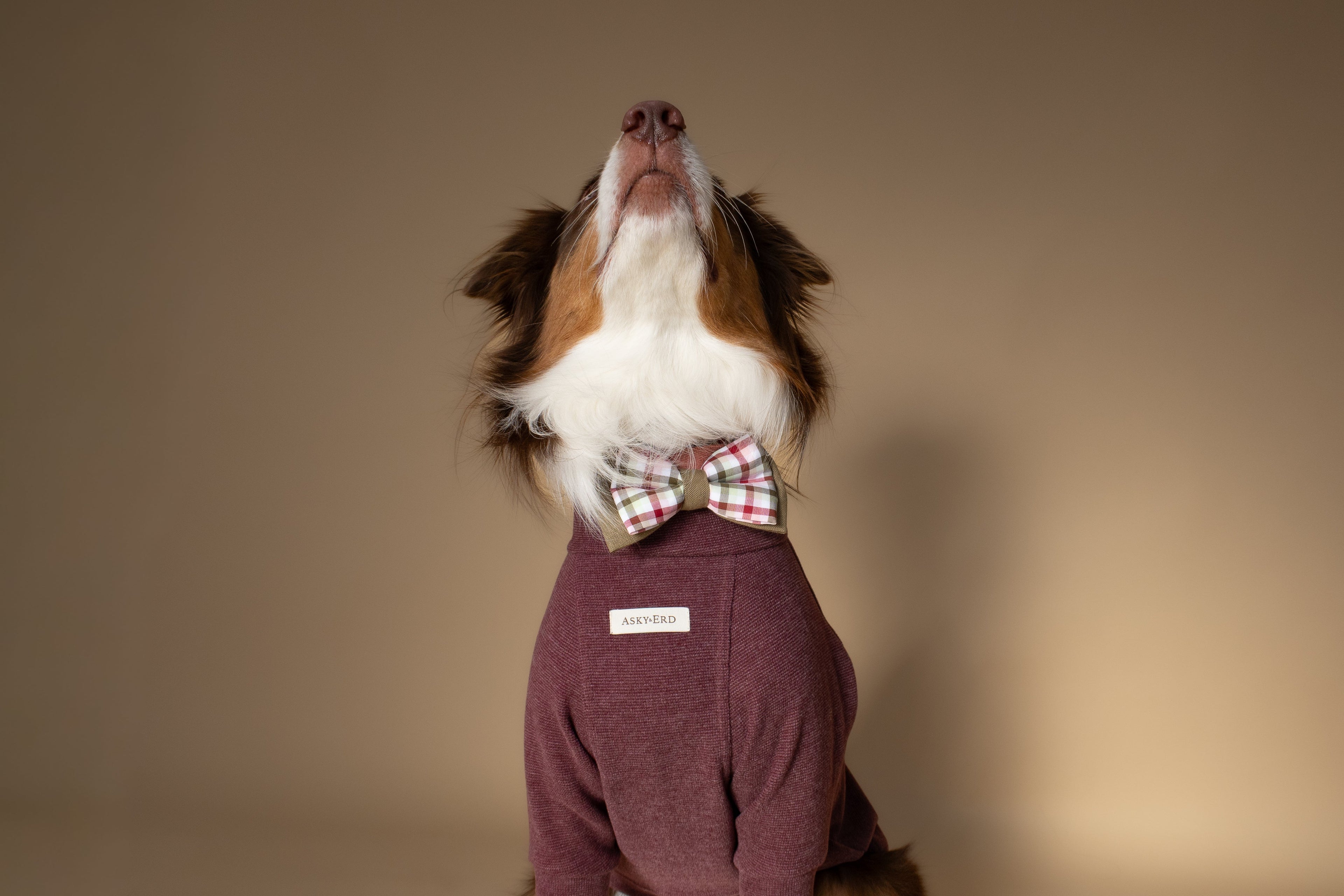 | Bow Tie | Mulberry Plaid