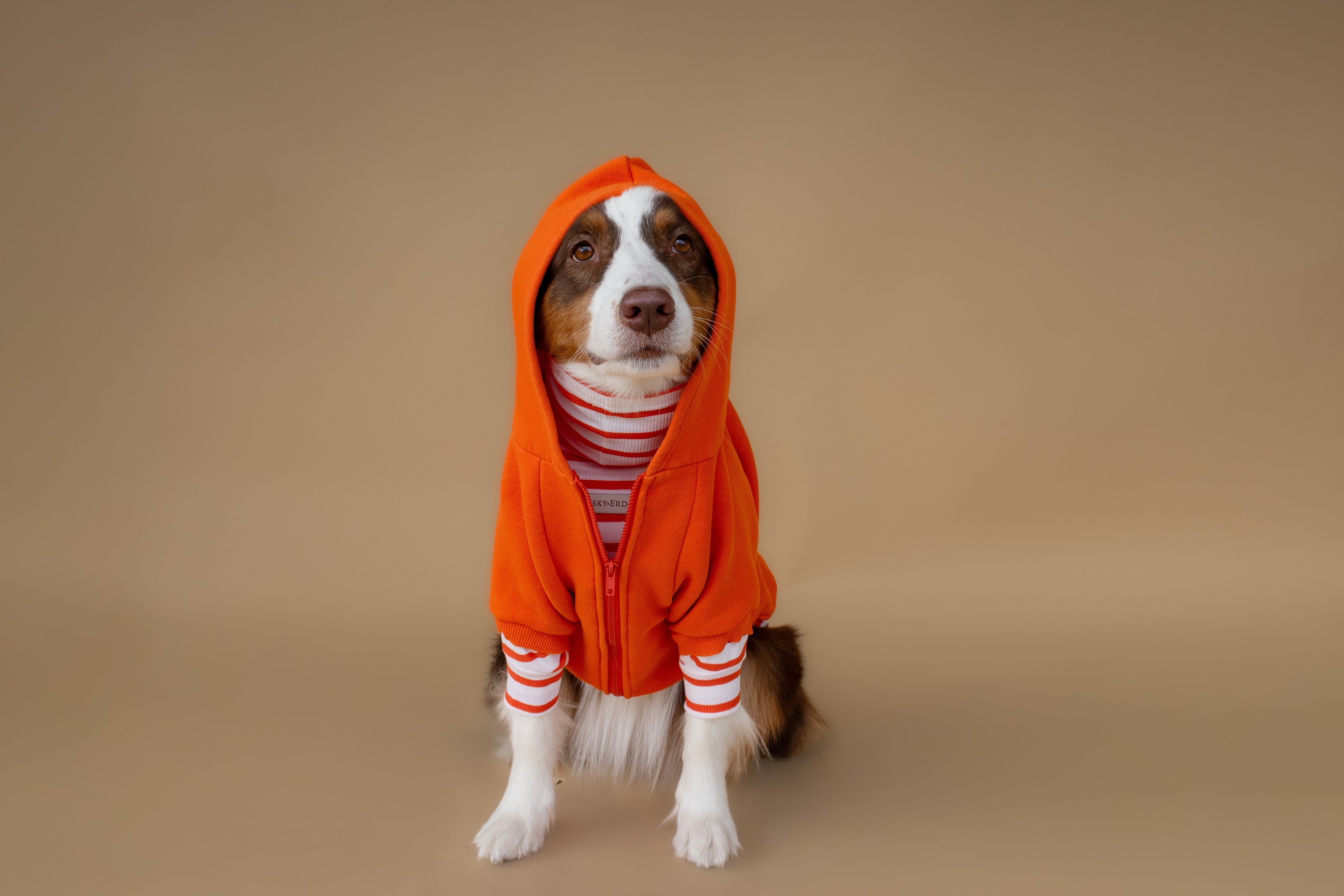 Turtleneck Tshirt | Tangerine Stripe