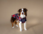 Chicago Vest | Crimson Tartan Plaid