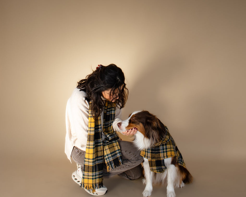 AskyxHuman | Golden Plaid Scarf