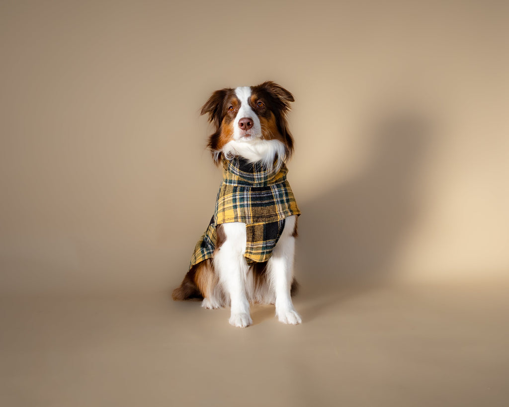 Chicago Vest | Golden Plaid