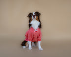 Love Sweatshirt | Coral Rose
