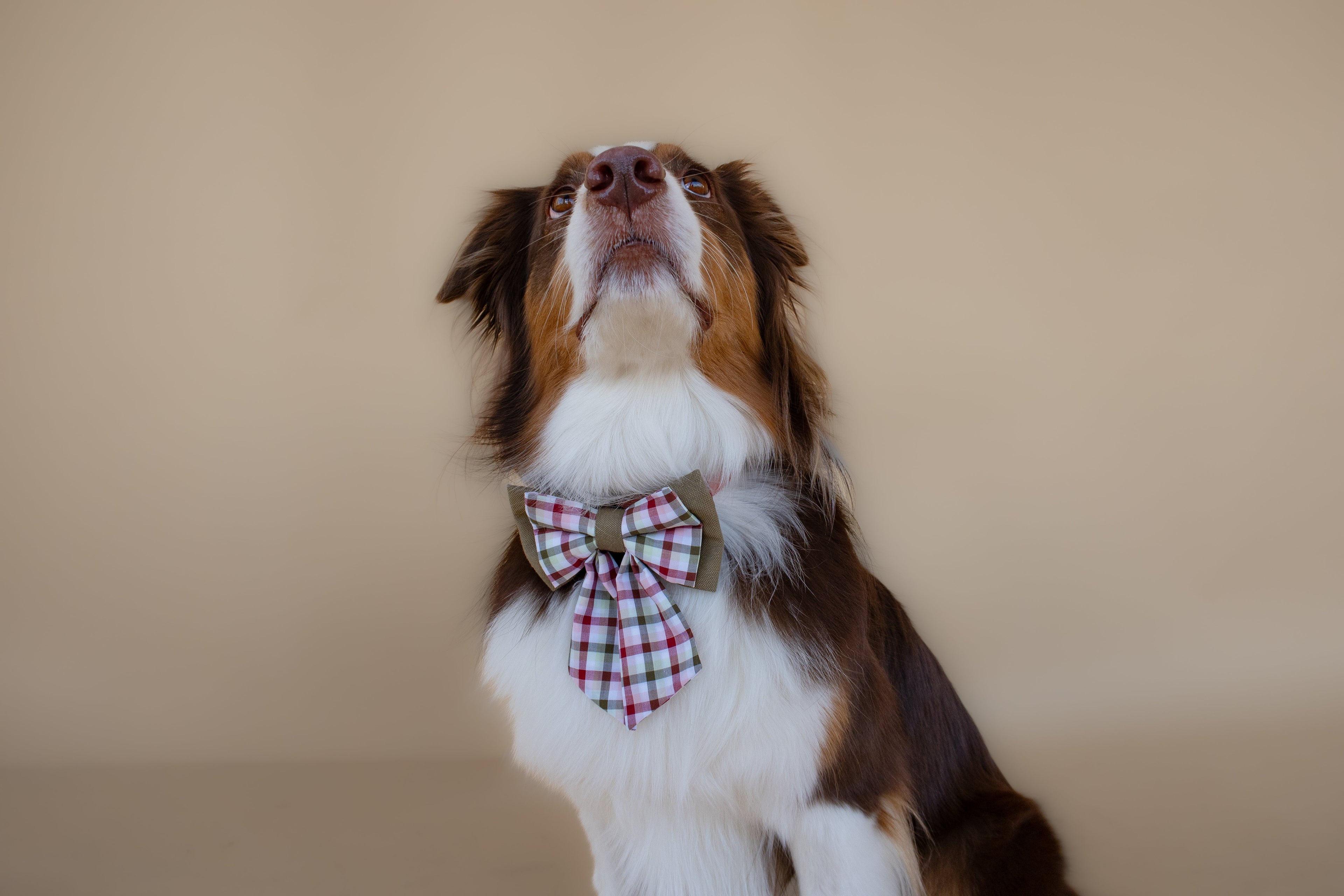 | Ribbon Bow | Mulberry Plaid