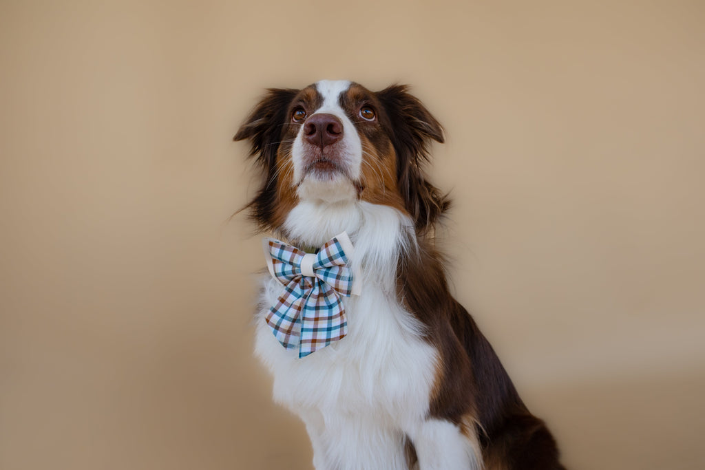 | Ribbon Bow | Cedar Plaid
