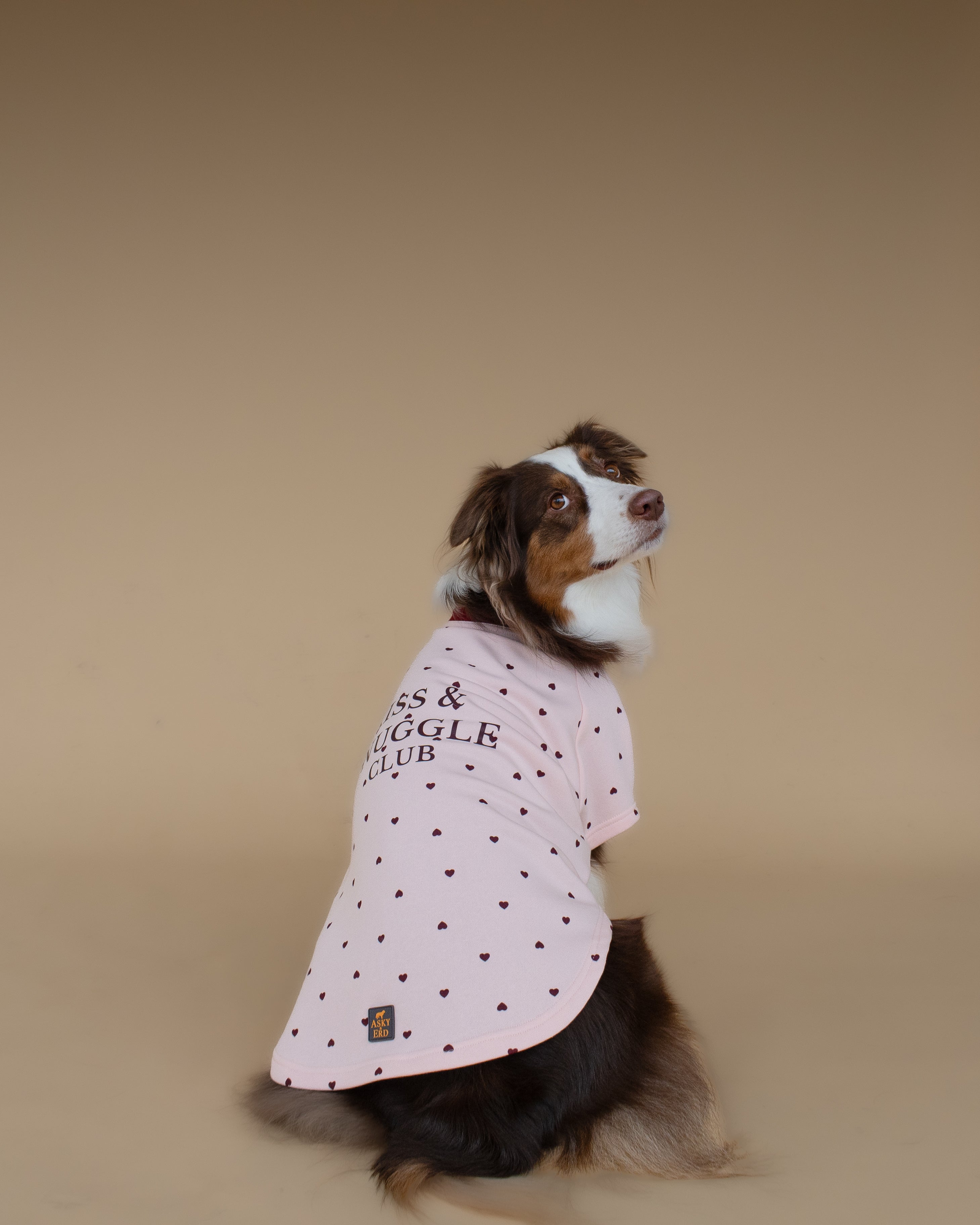 Kiss & Snuggle Club Sweatshirt | Rose Mist