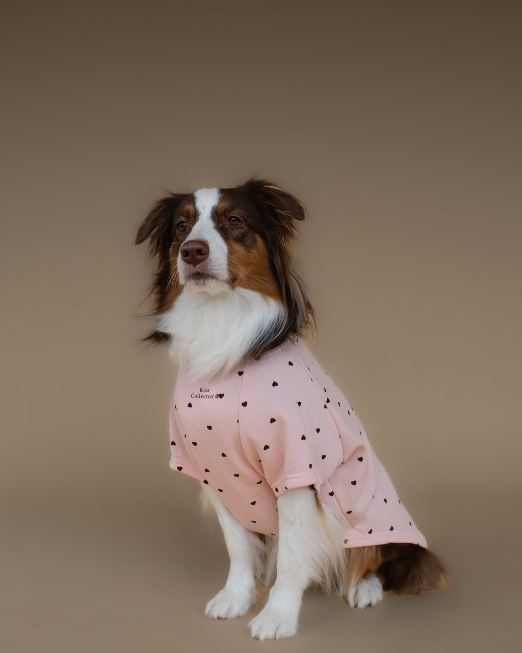 Kiss & Snuggle Club Sweatshirt | Rose Mist