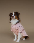 Kiss & Snuggle Club Sweatshirt | Rose Mist