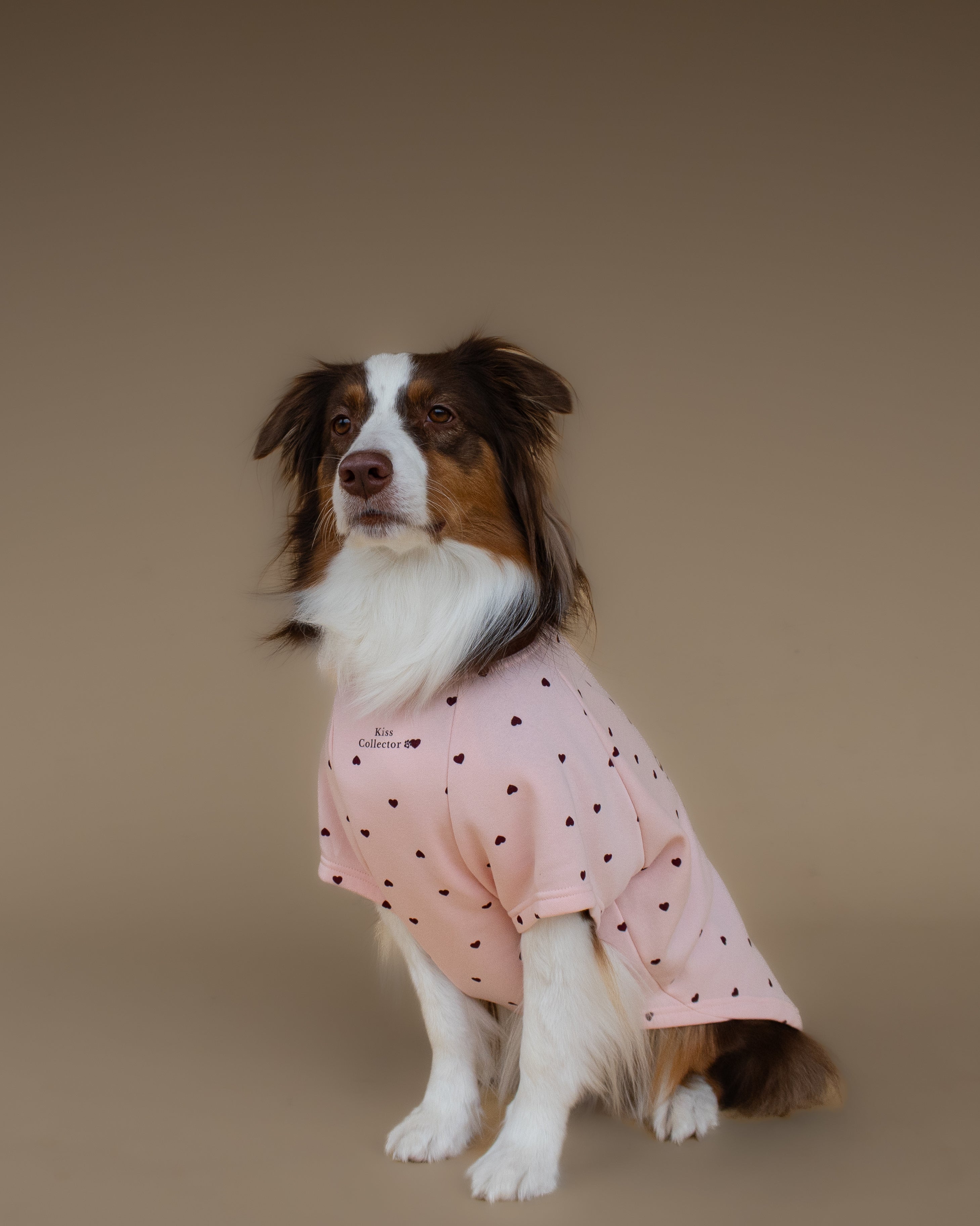 Kiss & Snuggle Club Sweatshirt | Rose Mist