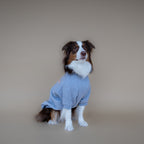 Love Paws Sweatshirt | Heather Grey