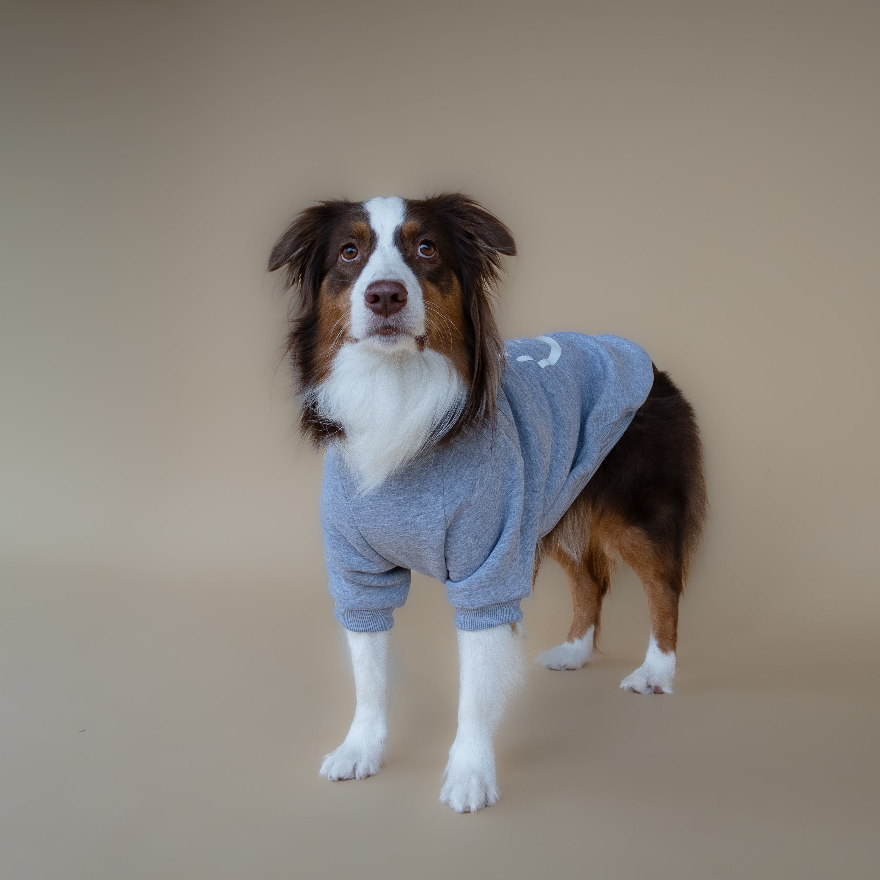 Love Paws Sweatshirt | Heather Grey
