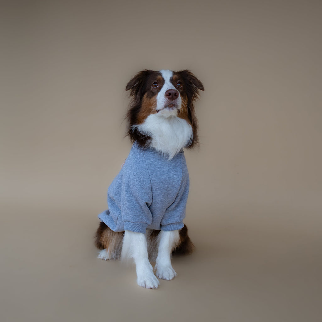 Love Paws Sweatshirt | Heather Grey