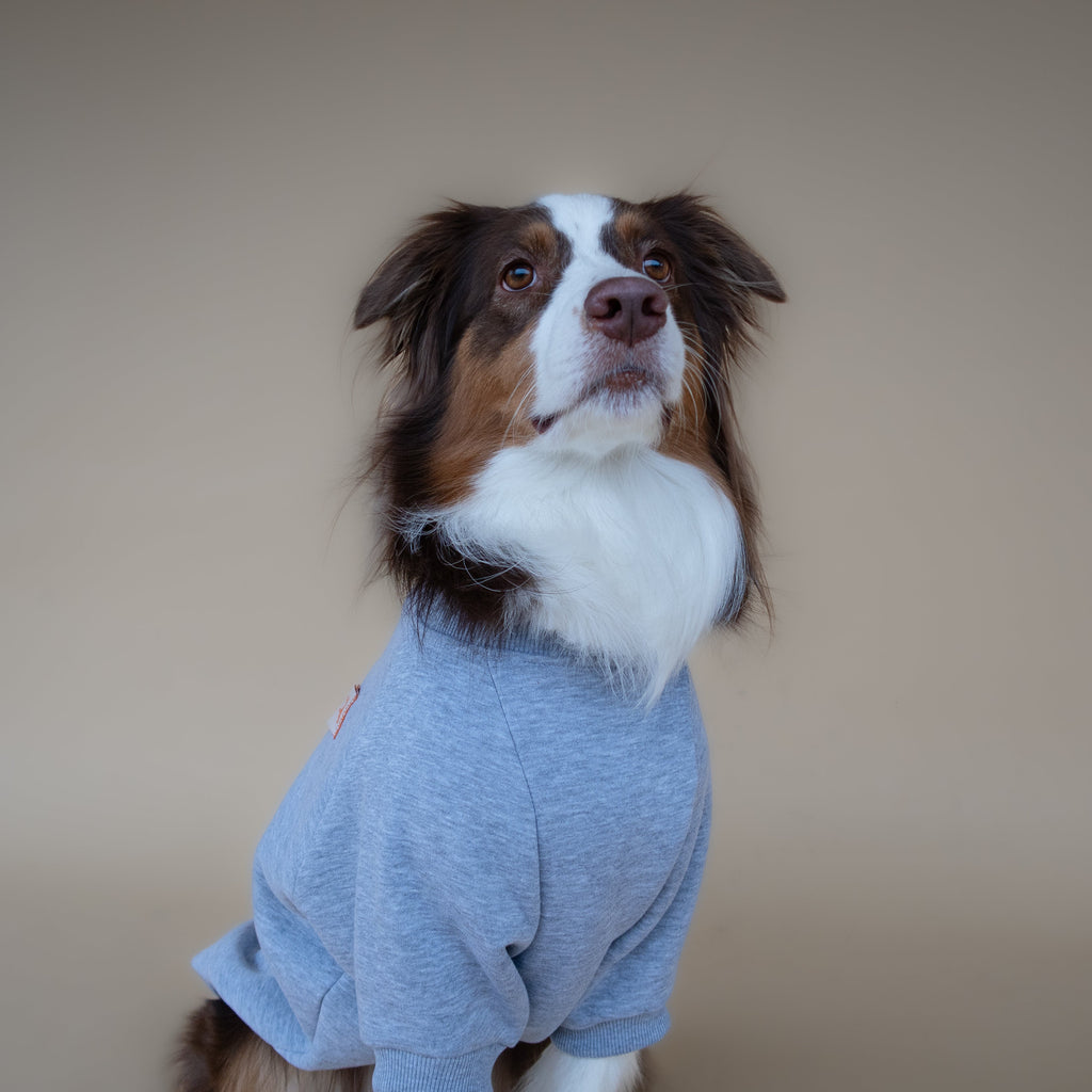 Love Paws Sweatshirt | Heather Grey