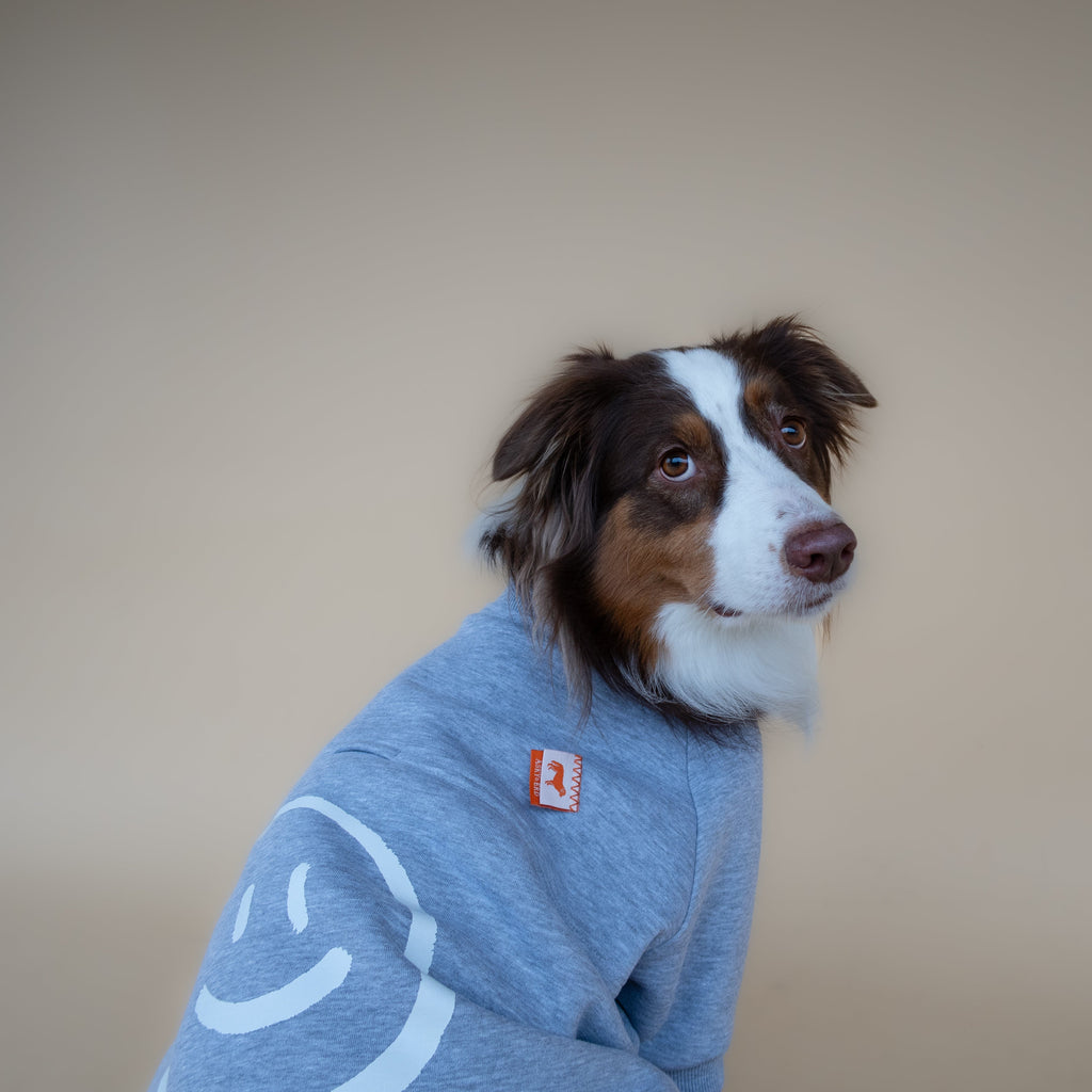 Love Paws Sweatshirt | Heather Grey