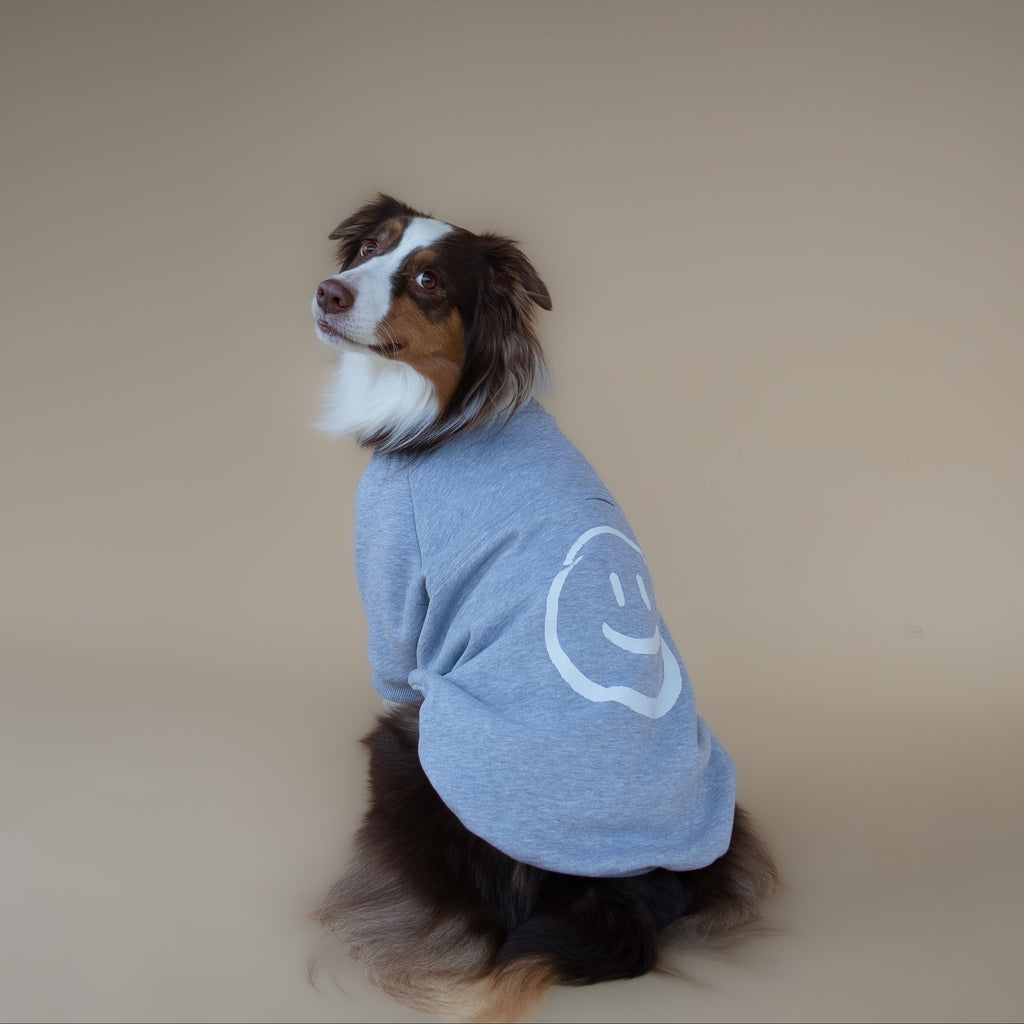 Love Paws Sweatshirt | Heather Grey