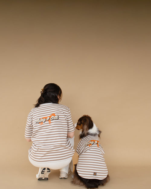 AskyxHuman | Heritage Stripe Tshirt | Oat Latte