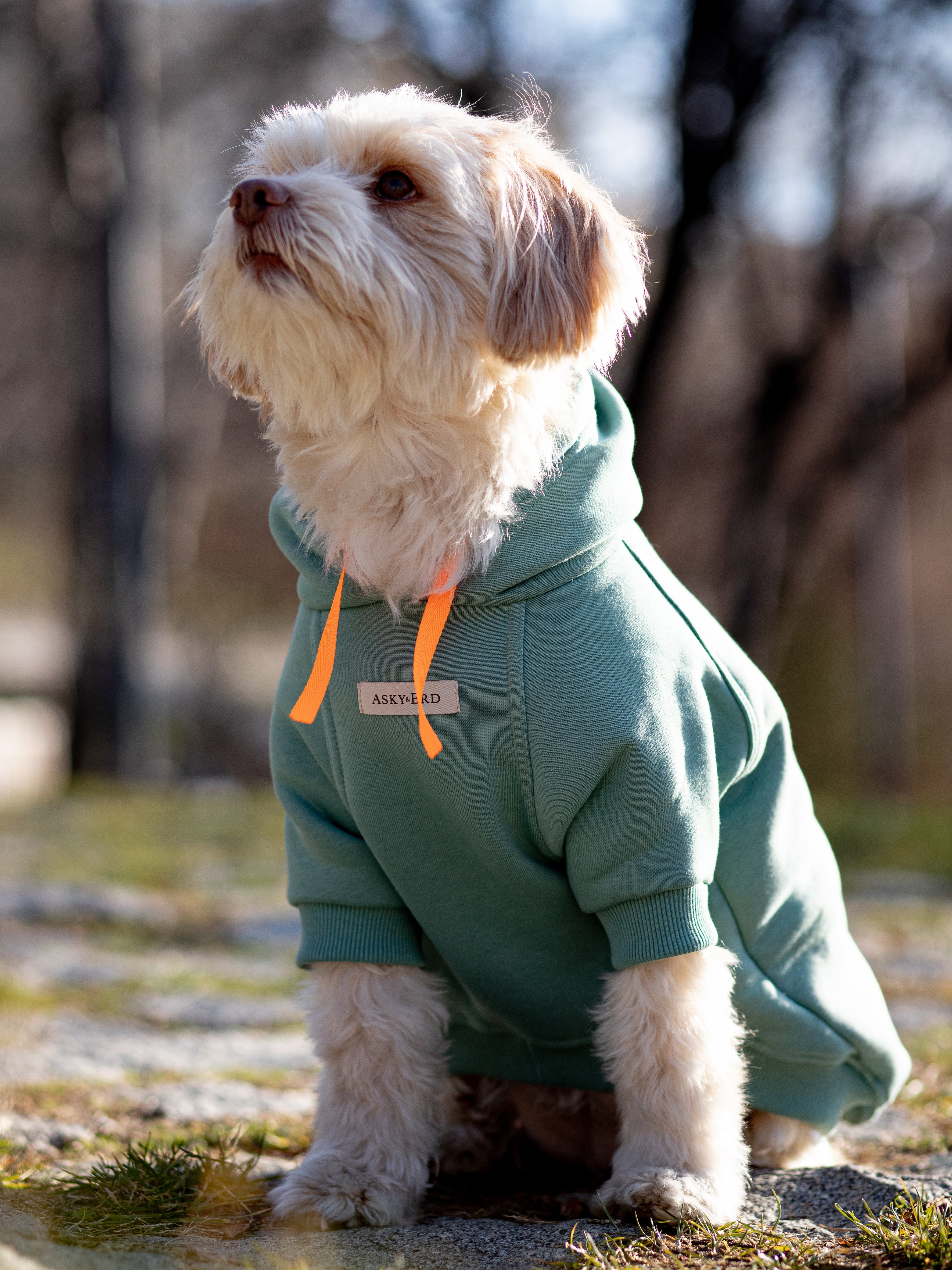Soho Hoodie | Ocean Green